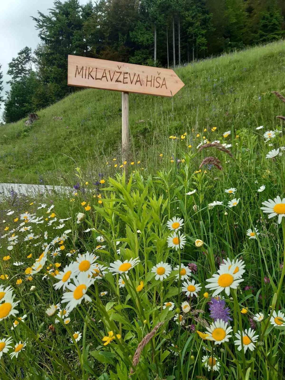 Miklavzeva Hisa With A Bread Oven Villa Zelezniki Exteriör bild